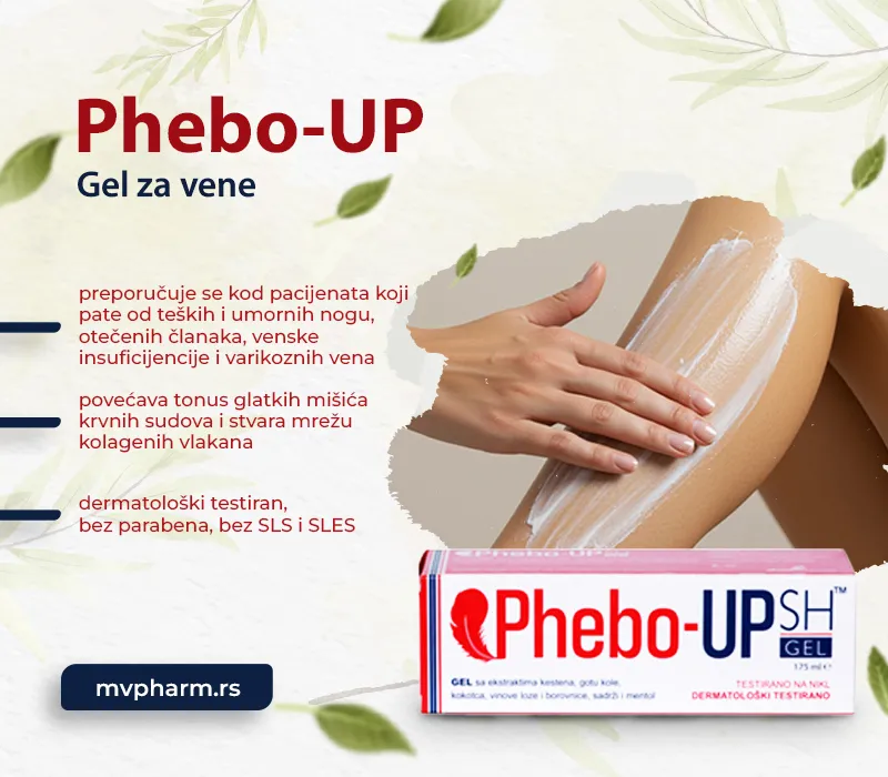  Phlebo up