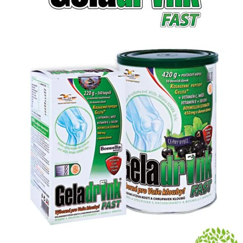 GELADRINK FAST prašak 420g